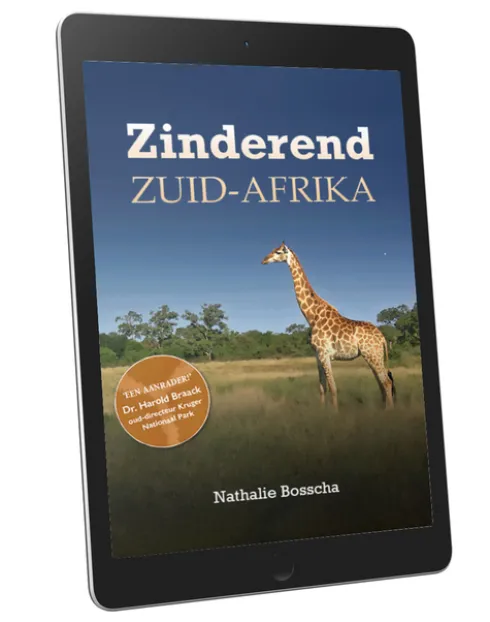 Zinderend Zuid-Afrika eBook