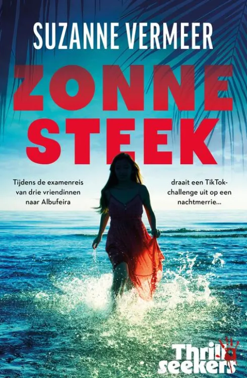 Zonnesteek eBook