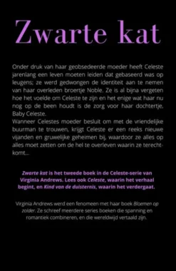 Zwarte kat eBook